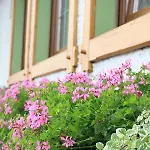 Landgasthof Ritter Und Gastronomie Gmbh Hotel