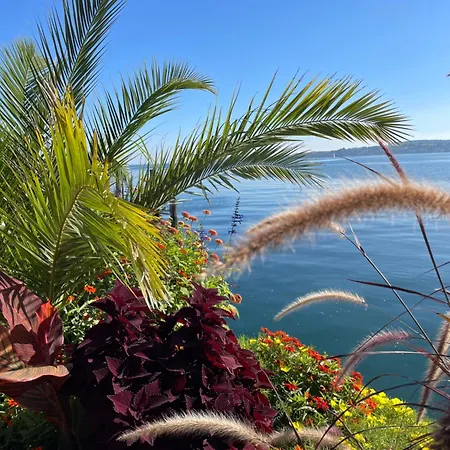 Landgasthof Ritter Szálloda Orsingen-Nenzingen