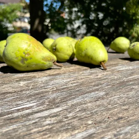 Landgasthof Ritter 3*