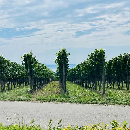 Szálloda Landgasthof Ritter Orsingen-Nenzingen