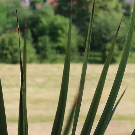 Landgasthof Ritter Szálloda Orsingen-Nenzingen